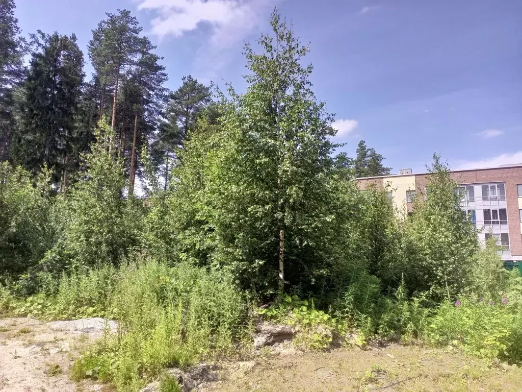 Участок в Ленинградская область, Всеволожск ул. Мужества (10.0 сот.) - Фото 1