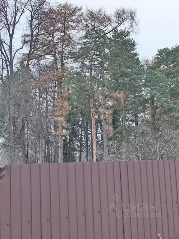 Участок в Московская область, Подольск городской округ, д. Бородино ... - Фото 1