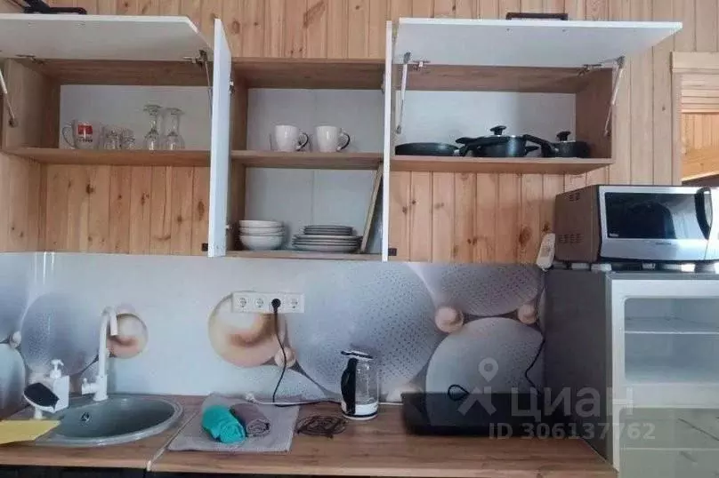 Дом в Алтай, Майминский район, с. Манжерок  (55 м) - Фото 2