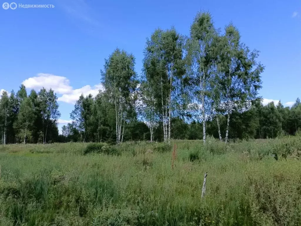 Участок в деревня Тимково (3.3 м) - Фото 1