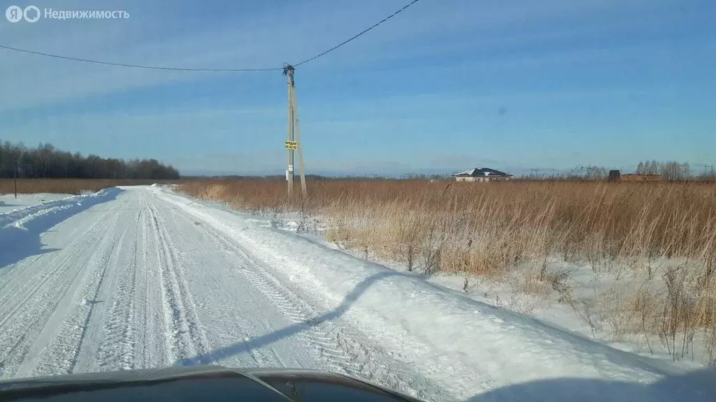 Участок в село Борки, Филиновская улица (14.5 м) - Фото 0