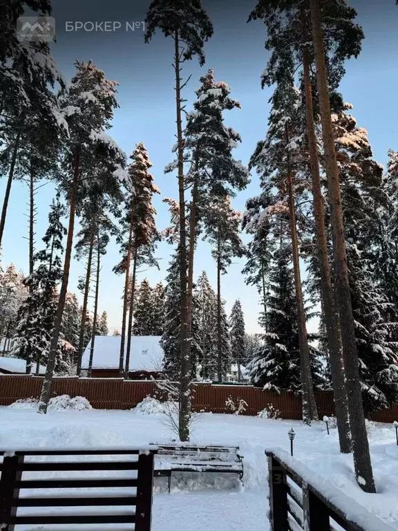 Коттедж в Ленинградская область, Сертолово Всеволожский район, Медное ... - Фото 1