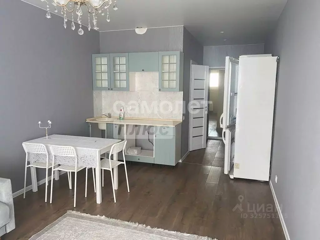 Студия Московская область, Старая Купавна Богородский городской округ, ... - Фото 1