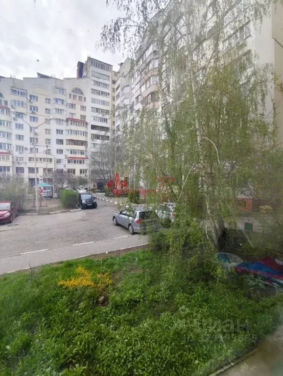 1-к кв. Белгородская область, Белгород ул. Победы, 49к7 (36.6 м) - Фото 2