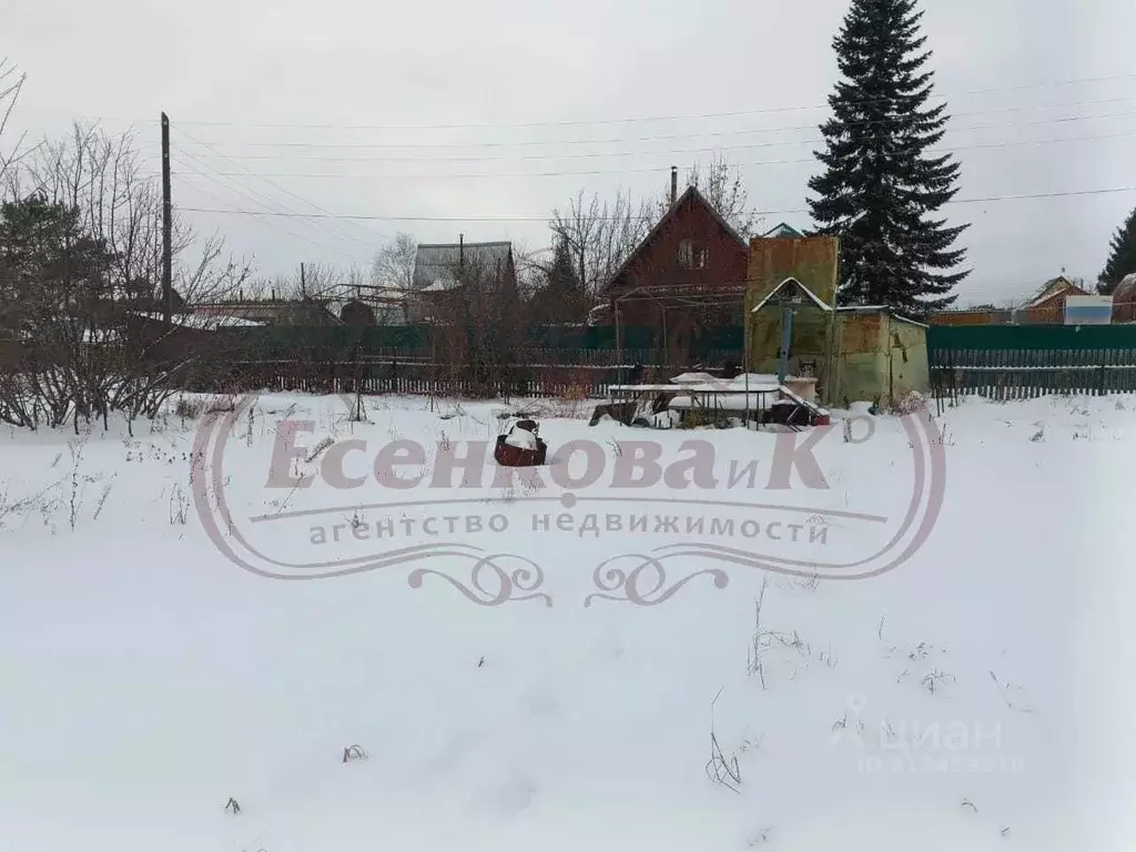 Участок в Курганская область, Кетовский муниципальный округ, Ясная ... - Фото 1