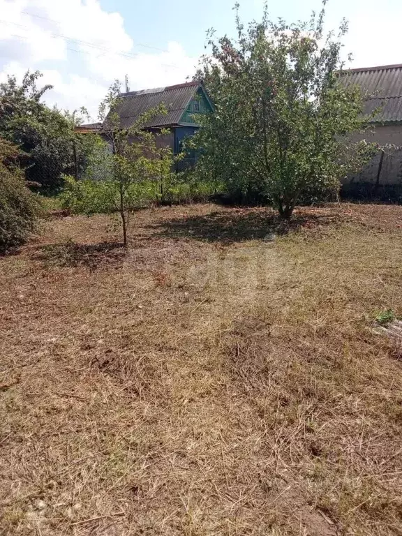 Участок в Оренбургская область, Оренбургский район, Нежинский ... - Фото 2