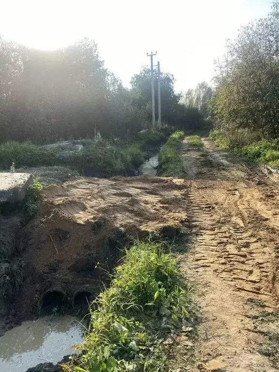 Участок в Ломоносовский район, Лебяженское городское поселение, ... - Фото 0