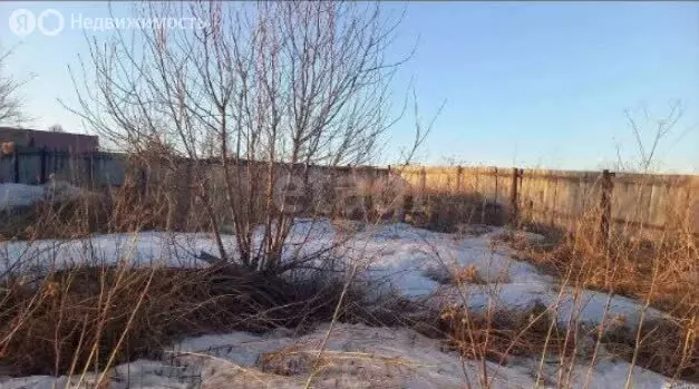 Участок в Новосибирский район, Станционный сельсовет, посёлок ... - Фото 1