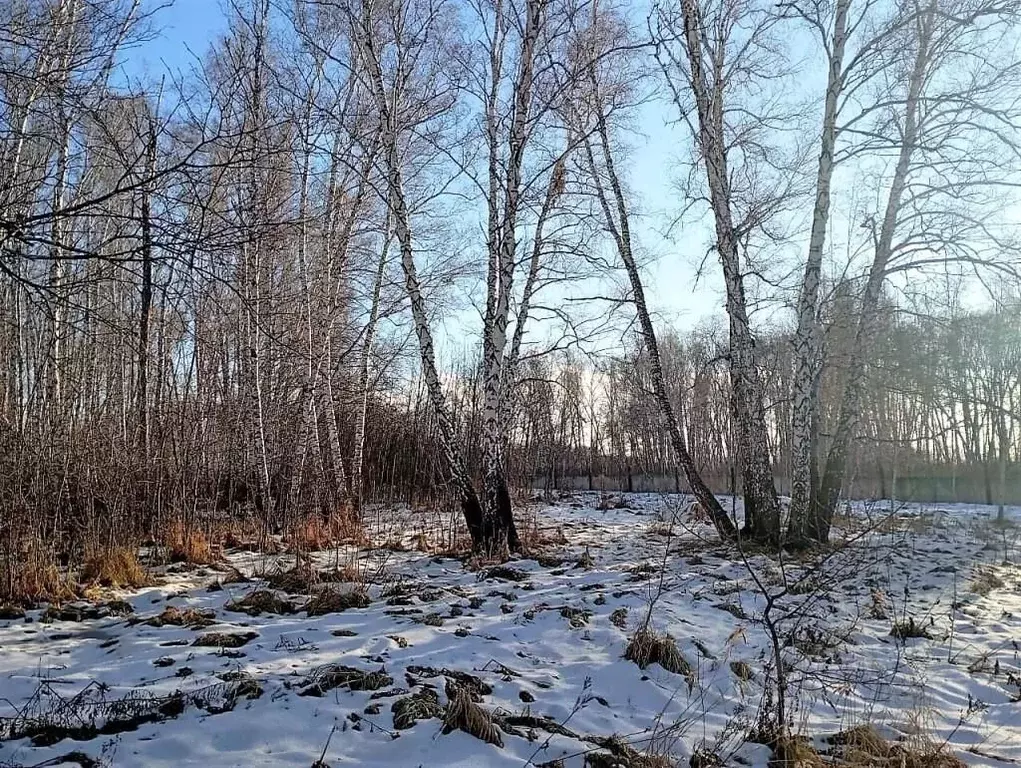 Участок в Омская область, Омский район, пос. Омский ул. Яблоневый сад ... - Фото 1