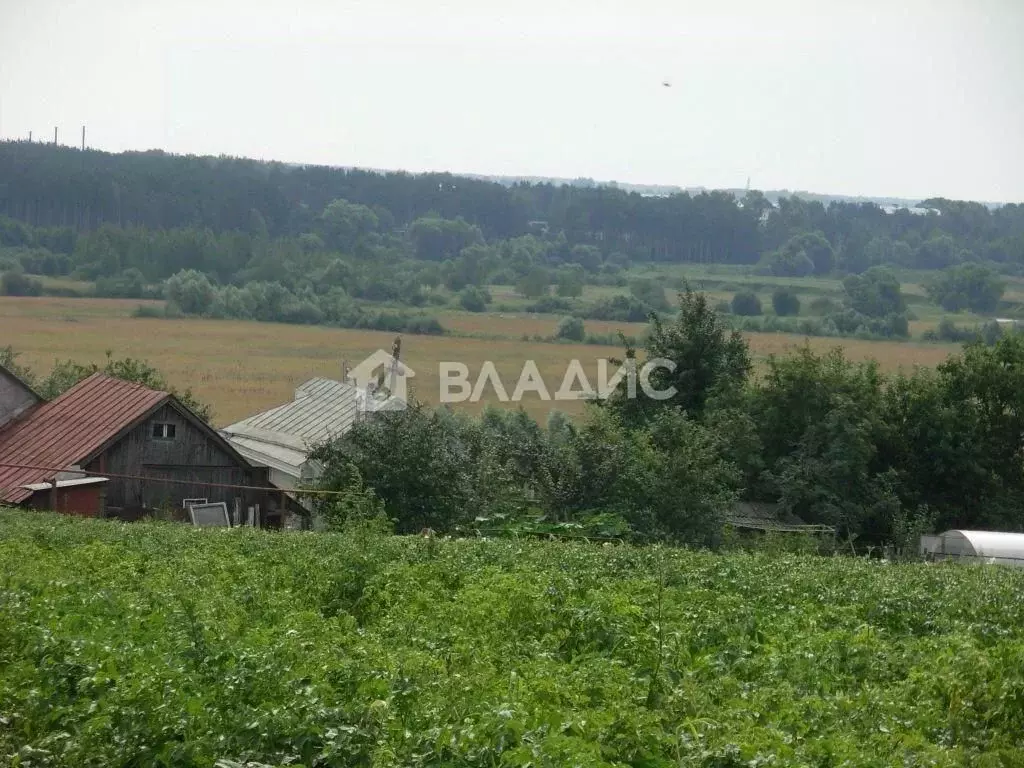 Участок в Владимирская область, Судогодский район, Лавровское ... - Фото 0