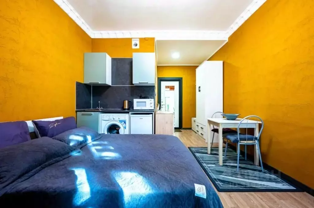 1-к кв. Санкт-Петербург Старо-Петергофский просп., 9а (18.0 м) - Фото 0