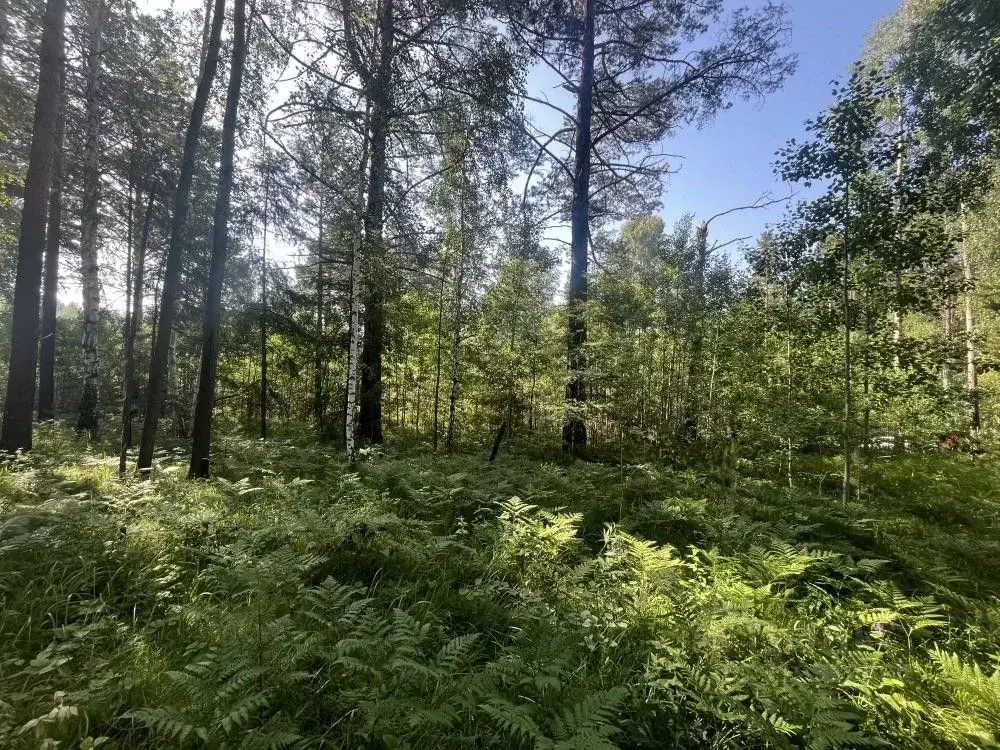 Участок в Иркутская область, Иркутский муниципальный округ, д. ... - Фото 1