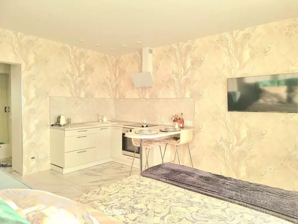 Студия Новосибирская область, Новосибирск ул. Писарева, 125 (33.0 м) - Фото 2