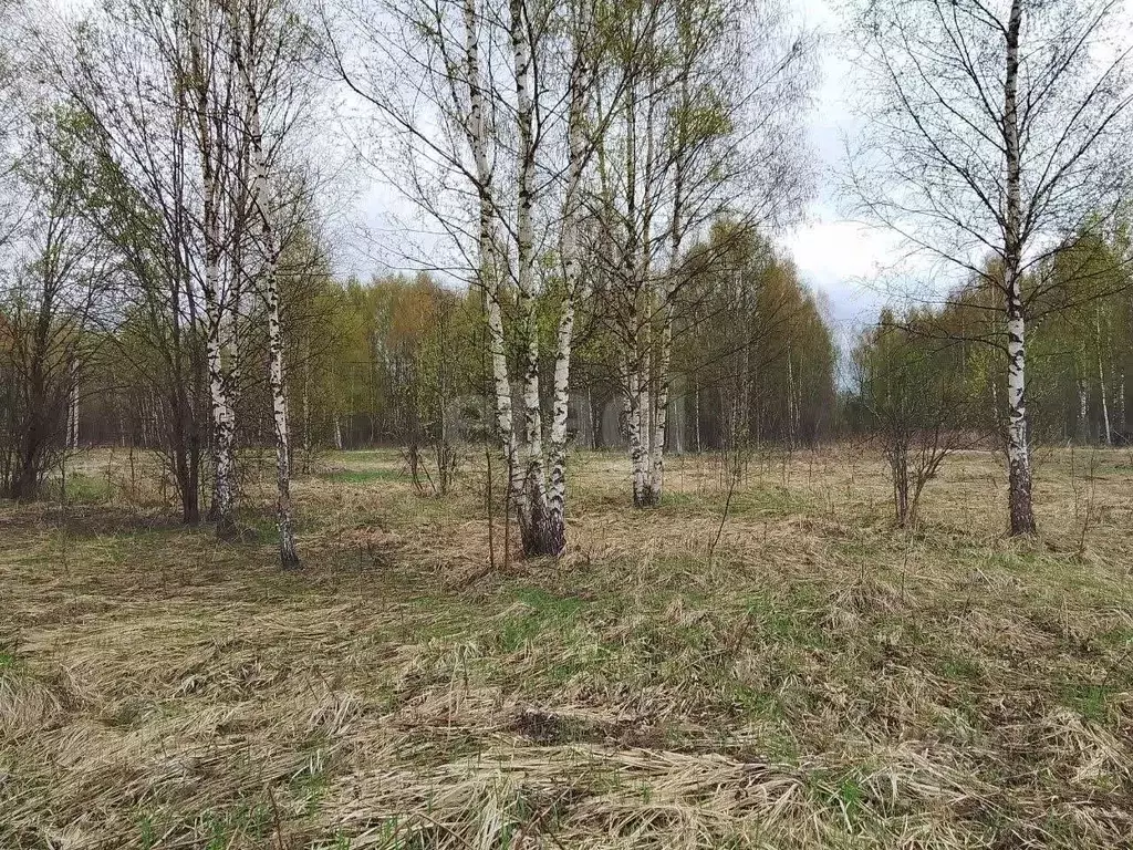 Участок в Тверская область, Калининский муниципальный округ, д. Старое ... - Фото 2