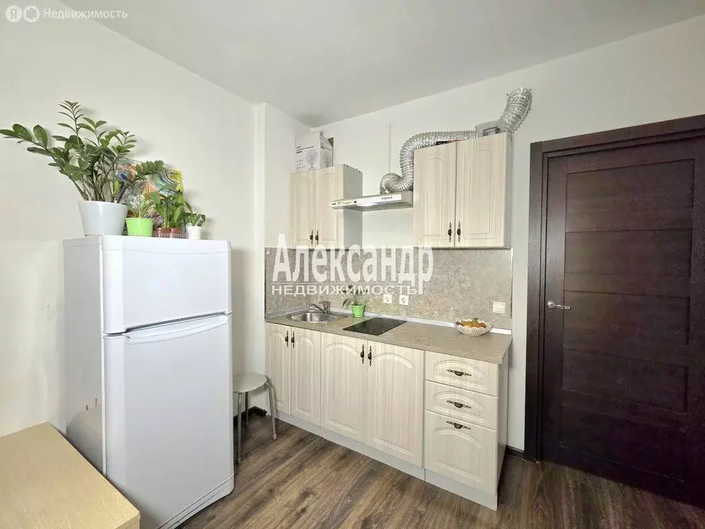 Квартира-студия: Санкт-Петербург, проспект Ветеранов, 171к5 (23.4 м) - Фото 2