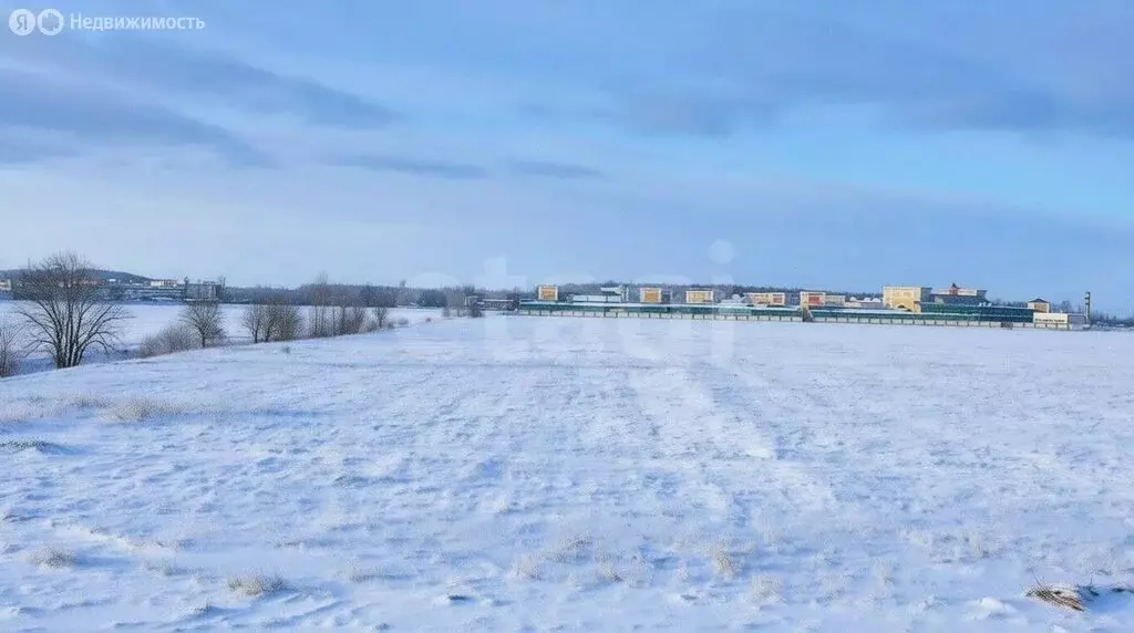 Участок в посёлок Шушары (50 м) - Фото 2