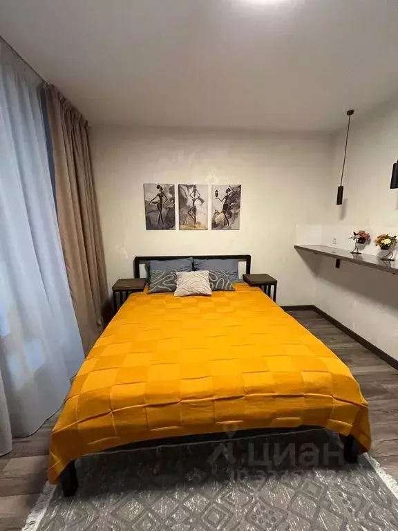 Студия Алтайский край, Барнаул тракт Павловский, 60Бк1 (26.0 м) - Фото 1