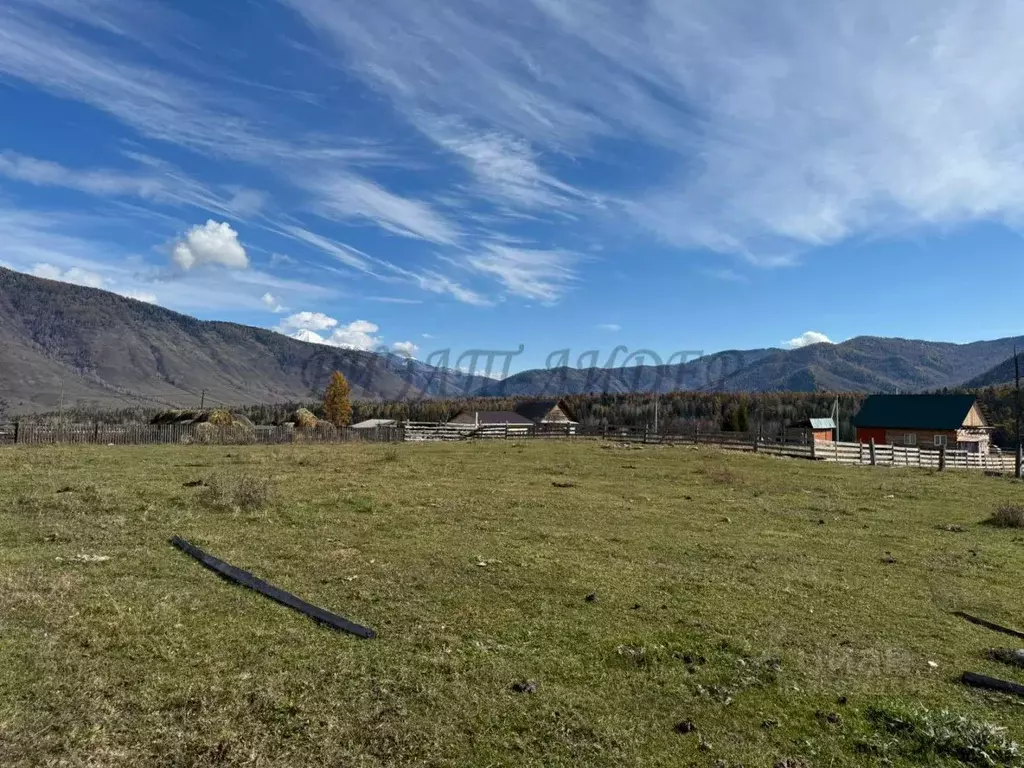 Участок в Алтай, Усть-Коксинский район, пос. Тюгурюк ул. Лесная (20.0 ... - Фото 2