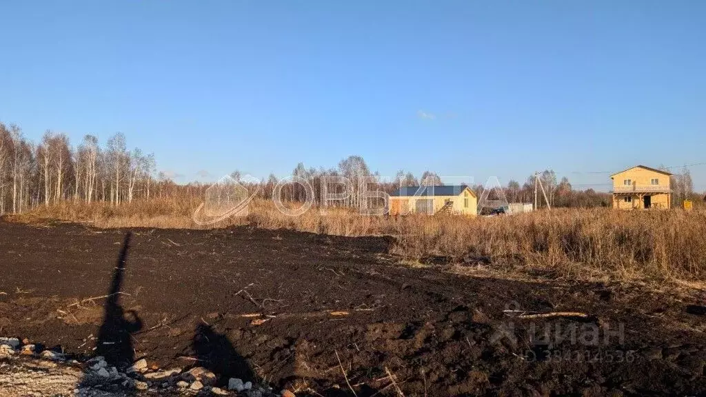 Участок в Тюменская область, Нижнетавдинский муниципальный округ, ... - Фото 1
