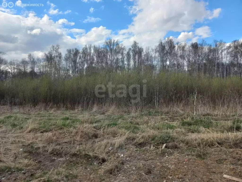 Участок в село Абатское, Солнечная улица (10 м) - Фото 2