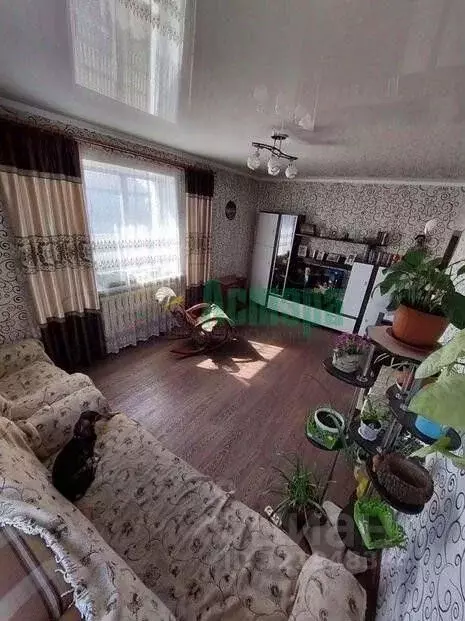 Дом в Забайкальский край, Чита с. Зыково, Багульная ул., 6 (81 м) - Фото 1