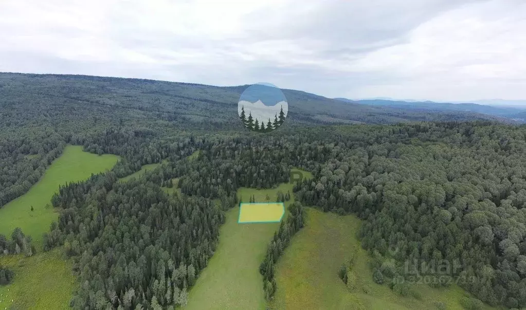 Участок в Алтай, Чойский район, Паспаульское с/пос, с. Сухой Карасук  ... - Фото 1