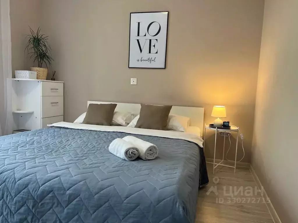Студия Санкт-Петербург Комендантский просп., 57к1 (27.0 м) - Фото 1