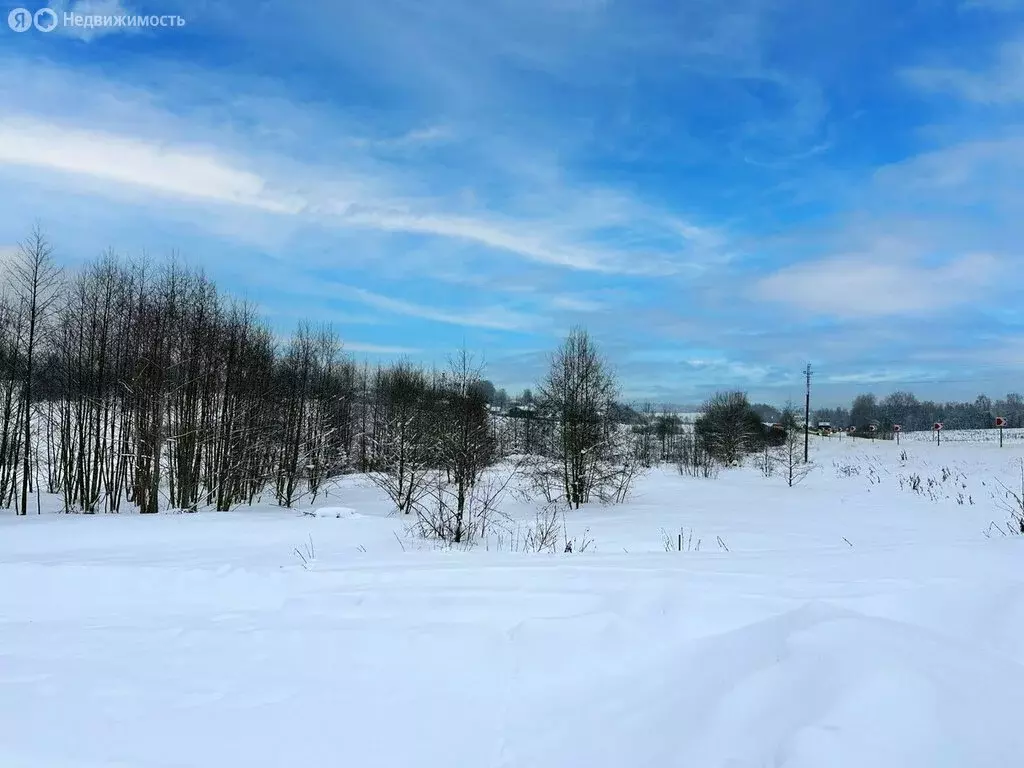 Участок в Московская область, Дмитровский муниципальный округ, КП ... - Фото 2