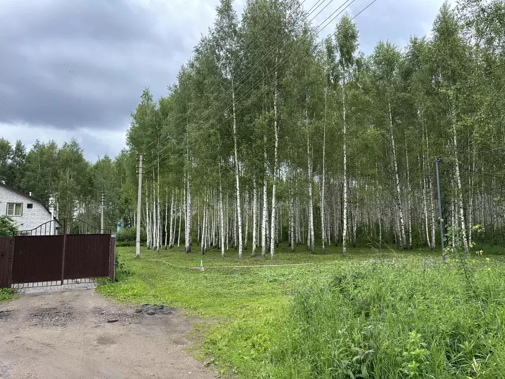 Участок в Тверская область, Калязинский муниципальный округ, д. ... - Фото 1