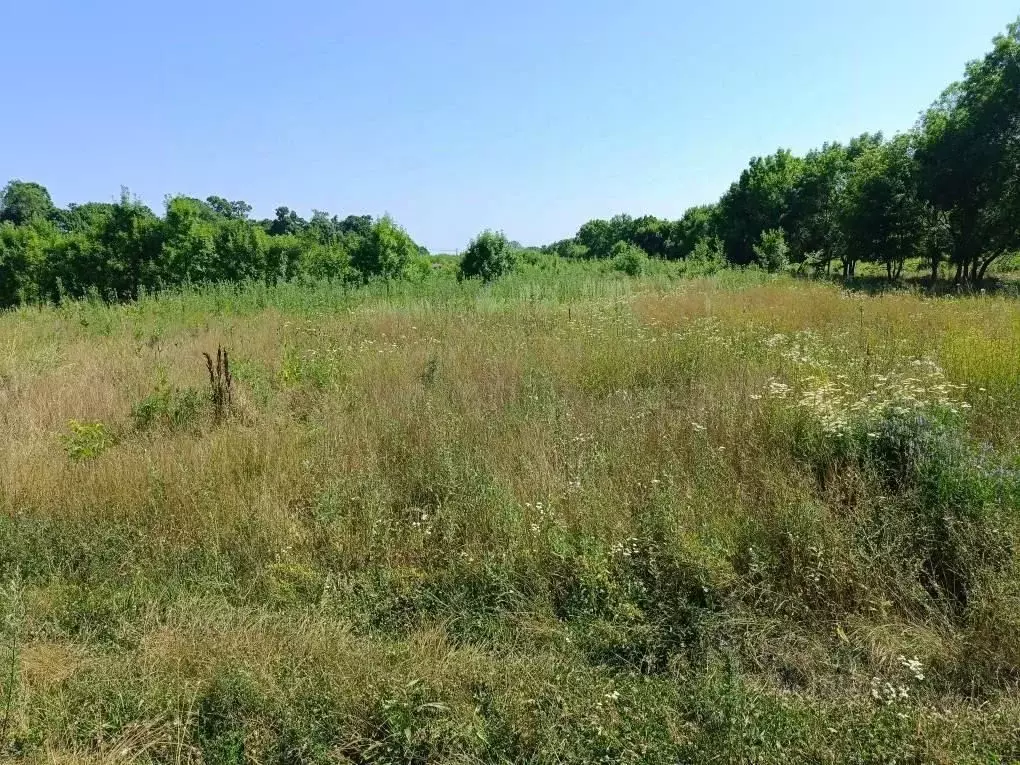 Участок в Краснодарский край, Новороссийск городской округ, с. Южная ... - Фото 0