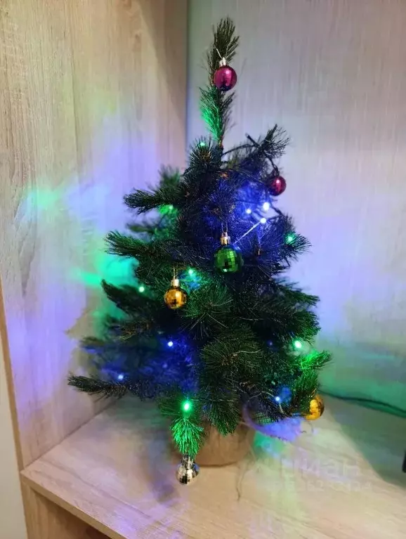 Студия Санкт-Петербург Пулковское ш., 14с6 (25.0 м) - Фото 2