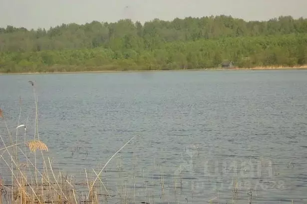 Участок в Псковская область, Плюсский муниципальный округ, д. Ктины  ... - Фото 1