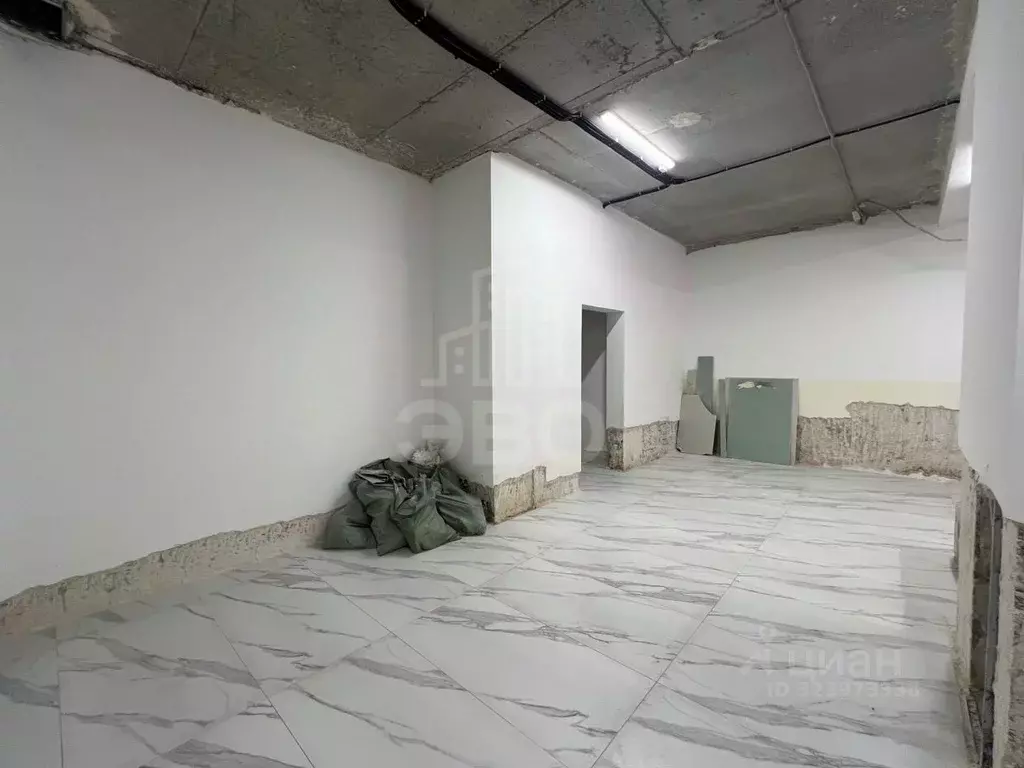 Помещение свободного назначения в Санкт-Петербург Московский просп., ... - Фото 2