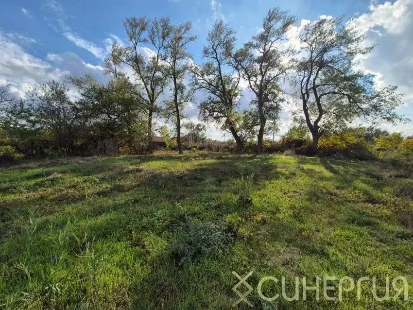 Участок в Ростовская область, Азовский район, Елизаветинское с/пос, ... - Фото 1