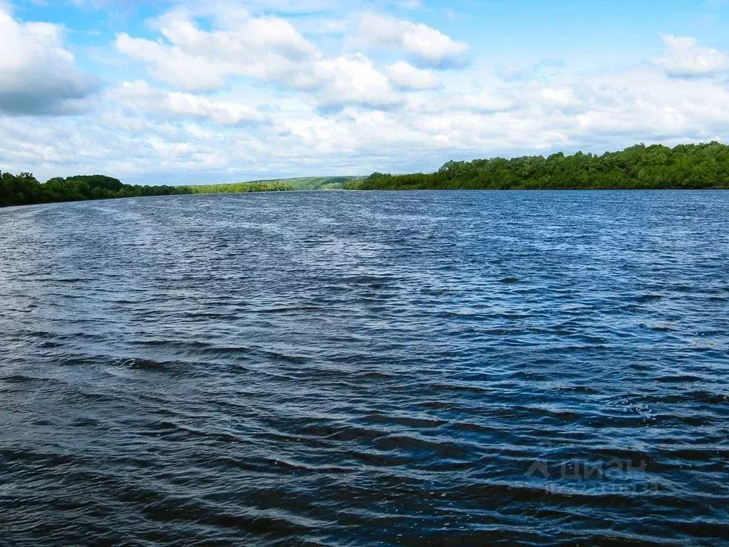 Участок в Тульская область, Ясногорский район, Иваньковское с/пос, д. ... - Фото 1