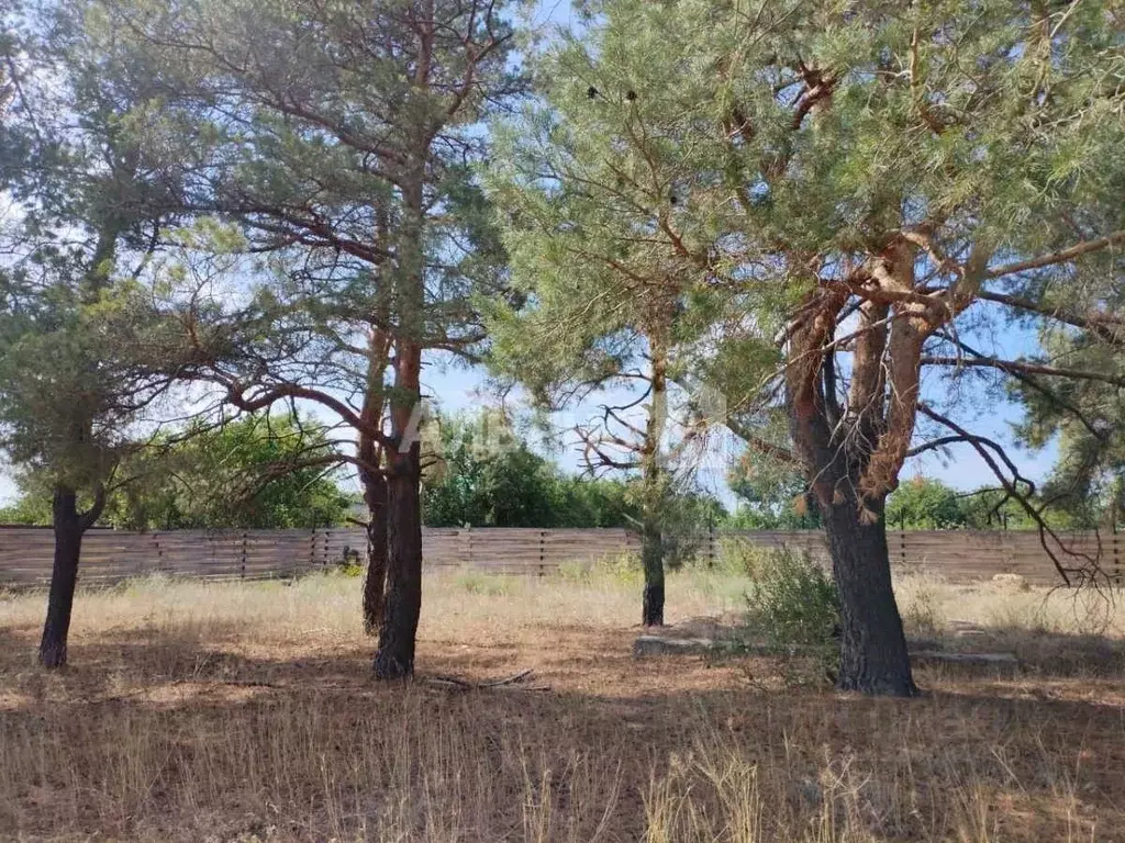 Участок в Ростовская область, Каменск-Шахтинский Ландыш СНТ, ул. ... - Фото 2