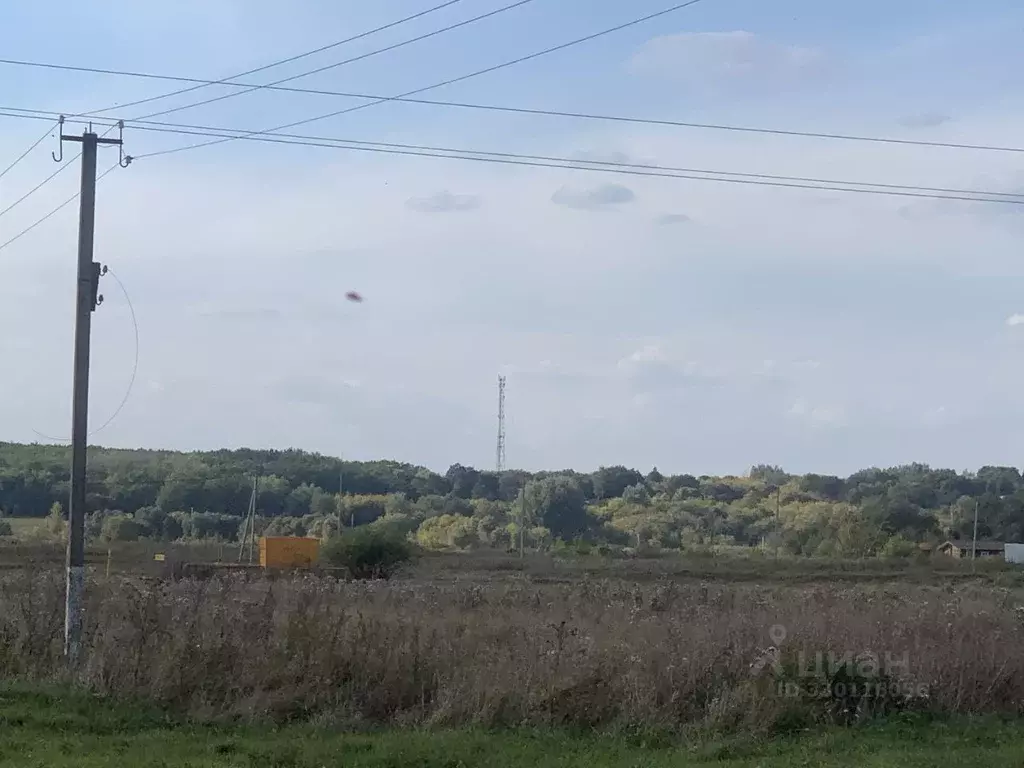 Участок в Воронежская область, Новоусманский район, ... - Фото 2