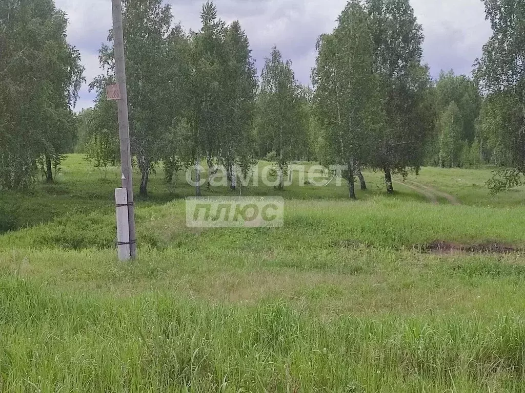 Участок в Челябинская область, Сосновский муниципальный округ, с. ... - Фото 2