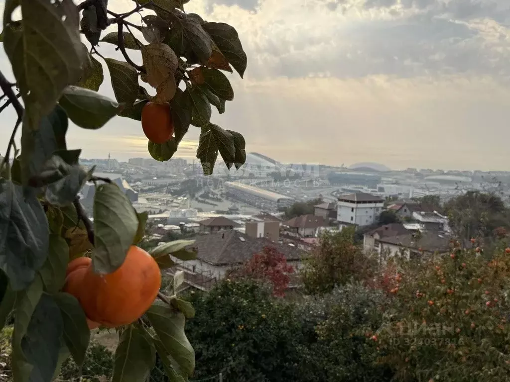 Дом в Краснодарский край, Сочи городской округ, с. Верхневеселое ул. ... - Фото 1