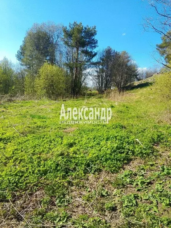 Участок в Карелия, Лахденпохский муниципальный округ, пос. ... - Фото 2