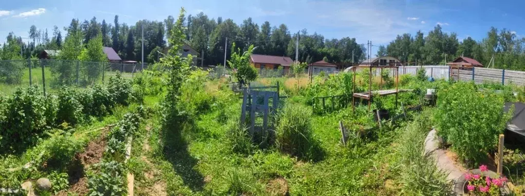 Участок в Московская область, Пушкинский городской округ, Бортневские ... - Фото 1