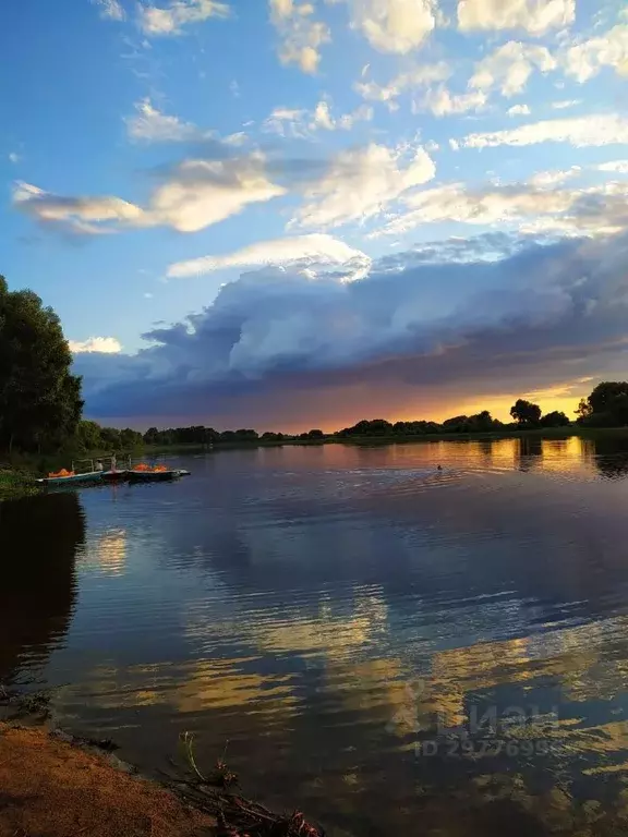 Участок в Рязанская область, Рязанский район, Заборьевское с/пос  ... - Фото 1
