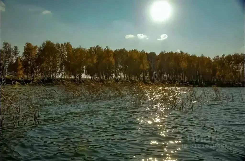 Участок в Челябинская область, Сосновский район, д. Шимаковка  (15.0 ... - Фото 0