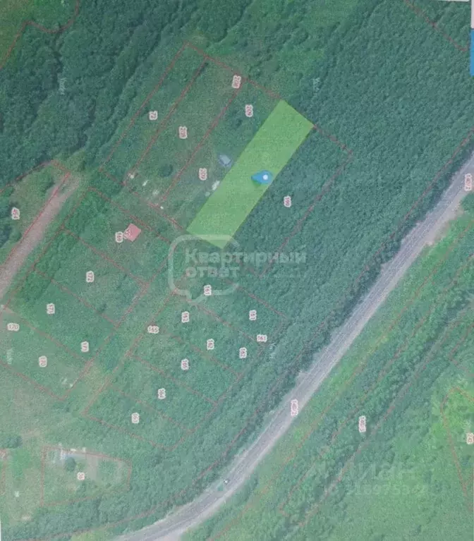 Участок в Владимирская область, Суздальский район, Новоалександровское ... - Фото 1