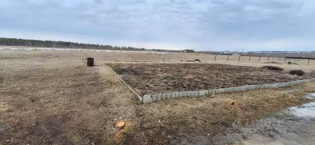 Участок в Саха (Якутия), Якутск городской округ, с. Владимировка ул. ... - Фото 1