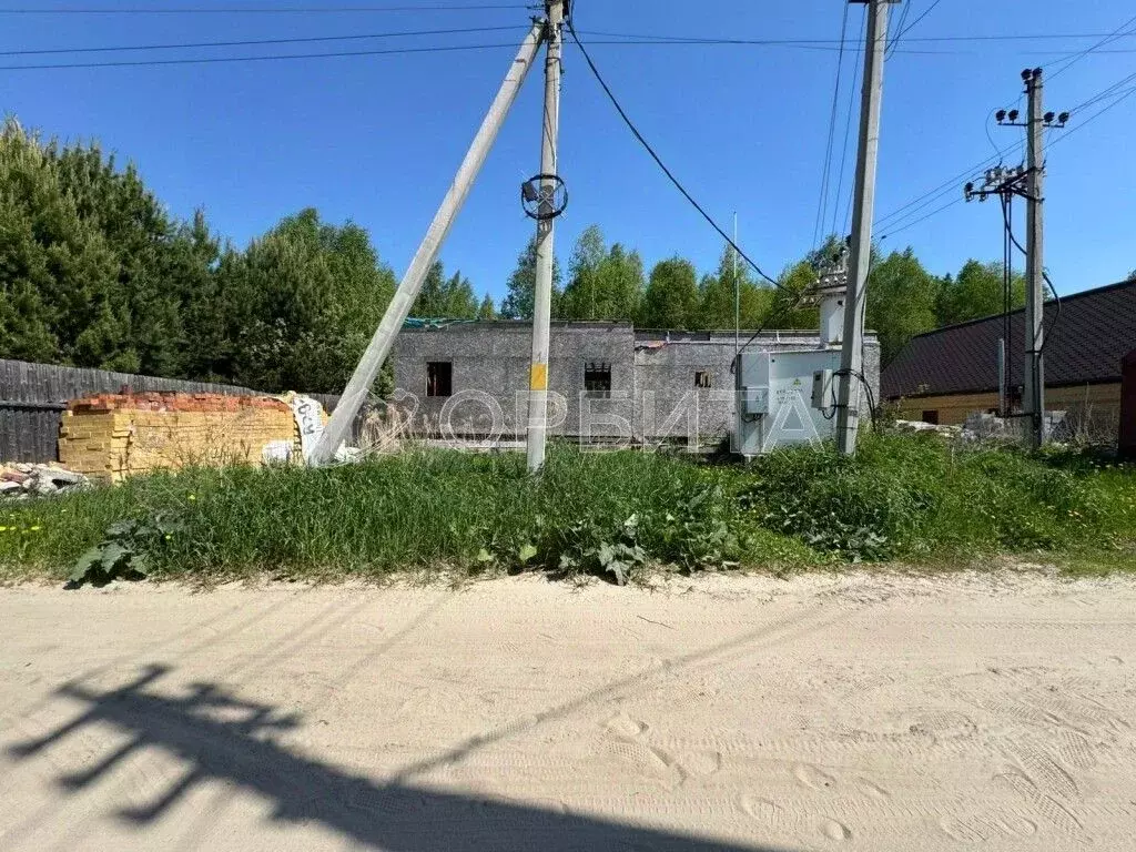 Участок в Тюменская область, Тюменский муниципальный округ, В Бору СНТ ... - Фото 1
