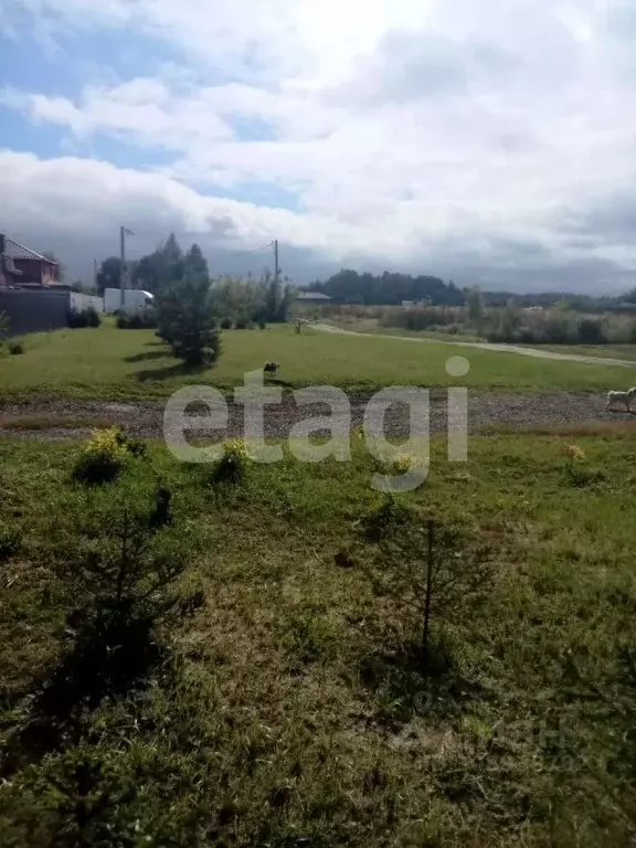 Участок в Брянская область, Брянский район, Мичуринское с/пос, д. ... - Фото 1