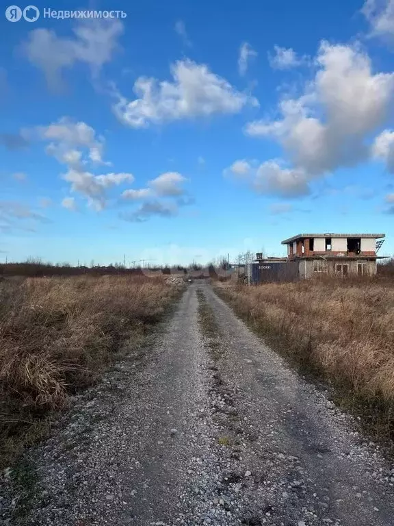 Участок в Зеленоградск, посёлок Клинцовка (6.1 м) - Фото 0