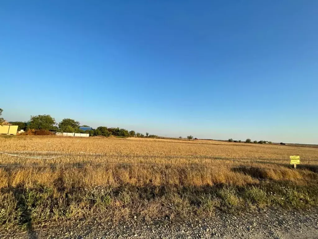 Участок в Краснодарский край, Ейский район, с. Кухаривка ... - Фото 1