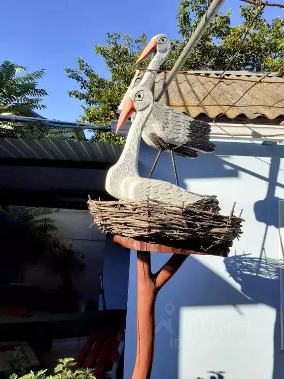 Комната Краснодарский край, Ейск Московская ул., 7 - Фото 2